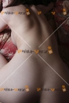 女性写真素材番号12193