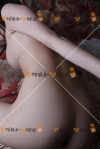 女性写真素材番号12194