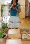 女性写真素材番号12729