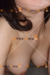 女性写真素材番号12901