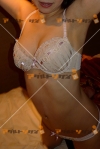 女性写真素材番号14532