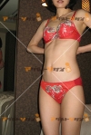女性写真素材番号14661