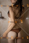 女性写真素材番号16687