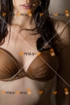 女性写真素材番号16688