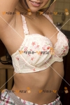 女性写真素材番号2533