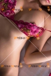 女性写真素材番号3426