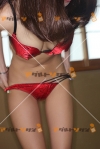 女性写真素材番号6037